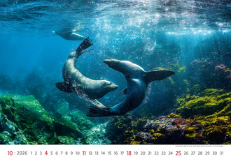 Nástěnný kalendář Wordl Wonders 2027