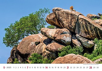 National Parks 2026, nástěnný kalendář, prodloužená záda