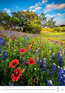Nature Emotions 2027, nástěnný kalendář, prodloužená záda