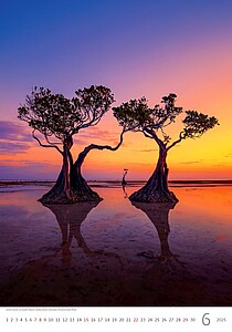 Nature Emotions 2027, nástěnný kalendář, prodloužená záda