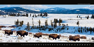 Panoramaphoto 2026, nástěnný kalendář, prodloužená záda