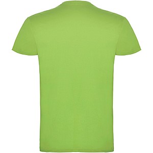 Pánské tričko s krátkým rukávem, ROLY BEAGLE, světle zelená, vel. 2XL