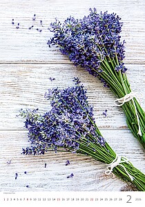 Provence 2026, nástěnný kalendář, prodloužená záda