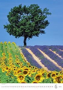 Provence 2026, nástěnný kalendář, prodloužená záda
