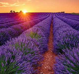 Provence 2026, nástěnný kalendář, prodloužená záda