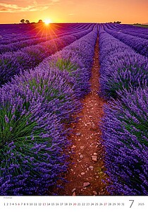 Provence 2027, nástěnný kalendář, prodloužená záda