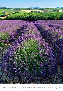 Provence 2027, nástěnný kalendář, prodloužená záda