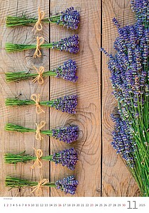 Provence 2027, nástěnný kalendář, prodloužená záda