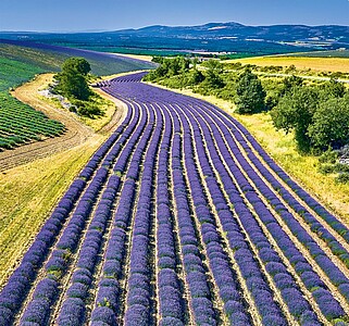 Provence 2027, nástěnný kalendář, prodloužená záda