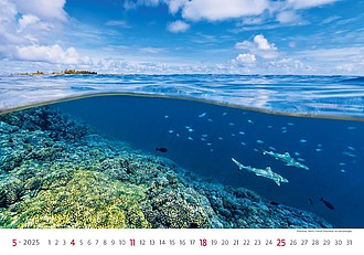 Sea 2025, nástěnný kalendář, prodloužená záda