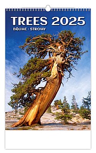 Stromy 2025, nástěnný kalendář, prodloužená záda - reklamní kalendáře
