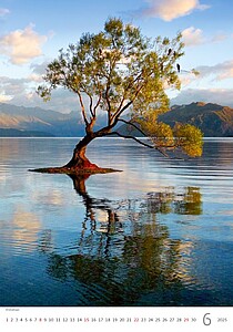 Stromy 2027, nástěnný kalendář, prodloužená záda