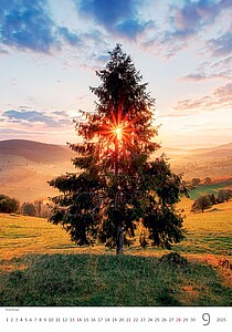 Stromy 2027, nástěnný kalendář, prodloužená záda