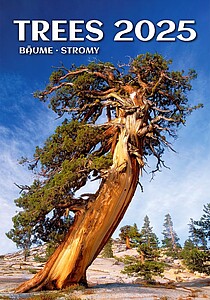 Stromy 2027, nástěnný kalendář, prodloužená záda