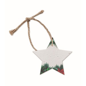 Vánoční ozdoba ve tvaru hvězdy z papíru se semínky