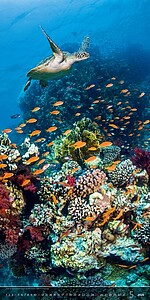 Verticalphoto 2027, nástěnný kalendář, prodloužená záda