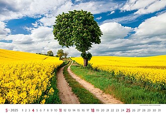 Via 2027, nástěnný kalendář, prodloužená záda