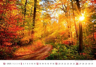 Via 2027, nástěnný kalendář, prodloužená záda