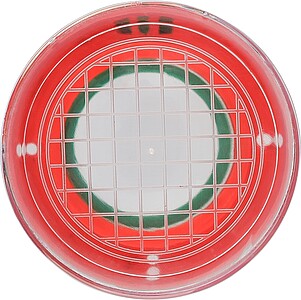 Zvětšovací nádoba se dvěma vestavěnými čočkami, světle zelená - reklamní předměty